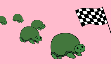 Turtle Race | Code Club Australia